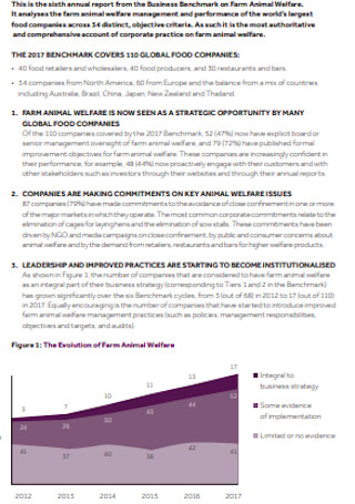 Executive Summary Business Report