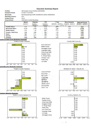 Simple Executive Summary Report