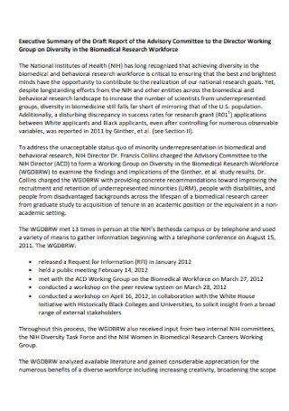 Working Group Executive Summary Report 