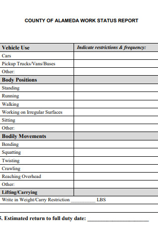 County Work Status Report