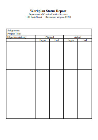 Work Plan Status Report