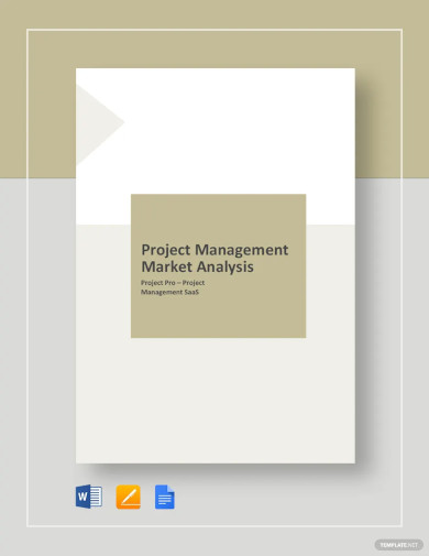 Project Management Market Analysis Template