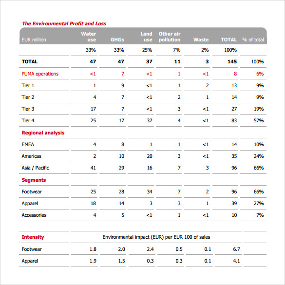 profit and loss environmental template