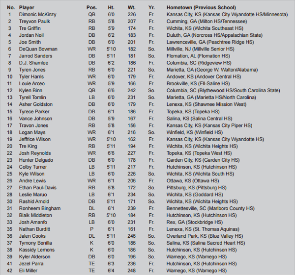 sample football roster template