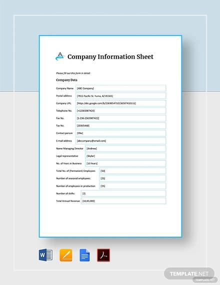 company information sheet template