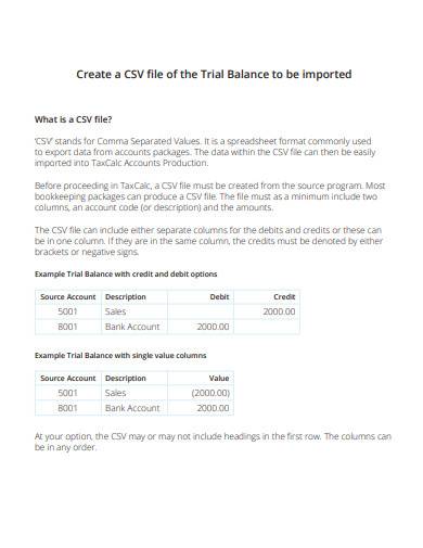 basic trail balance template