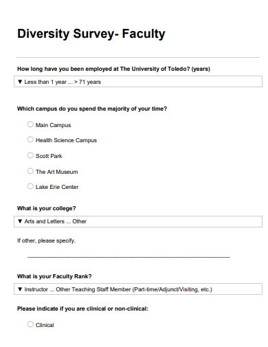 diversity survey