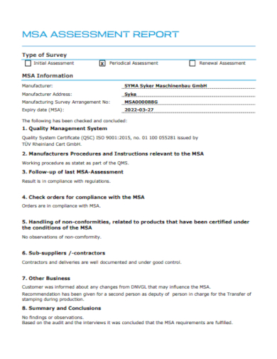 msa assessment report