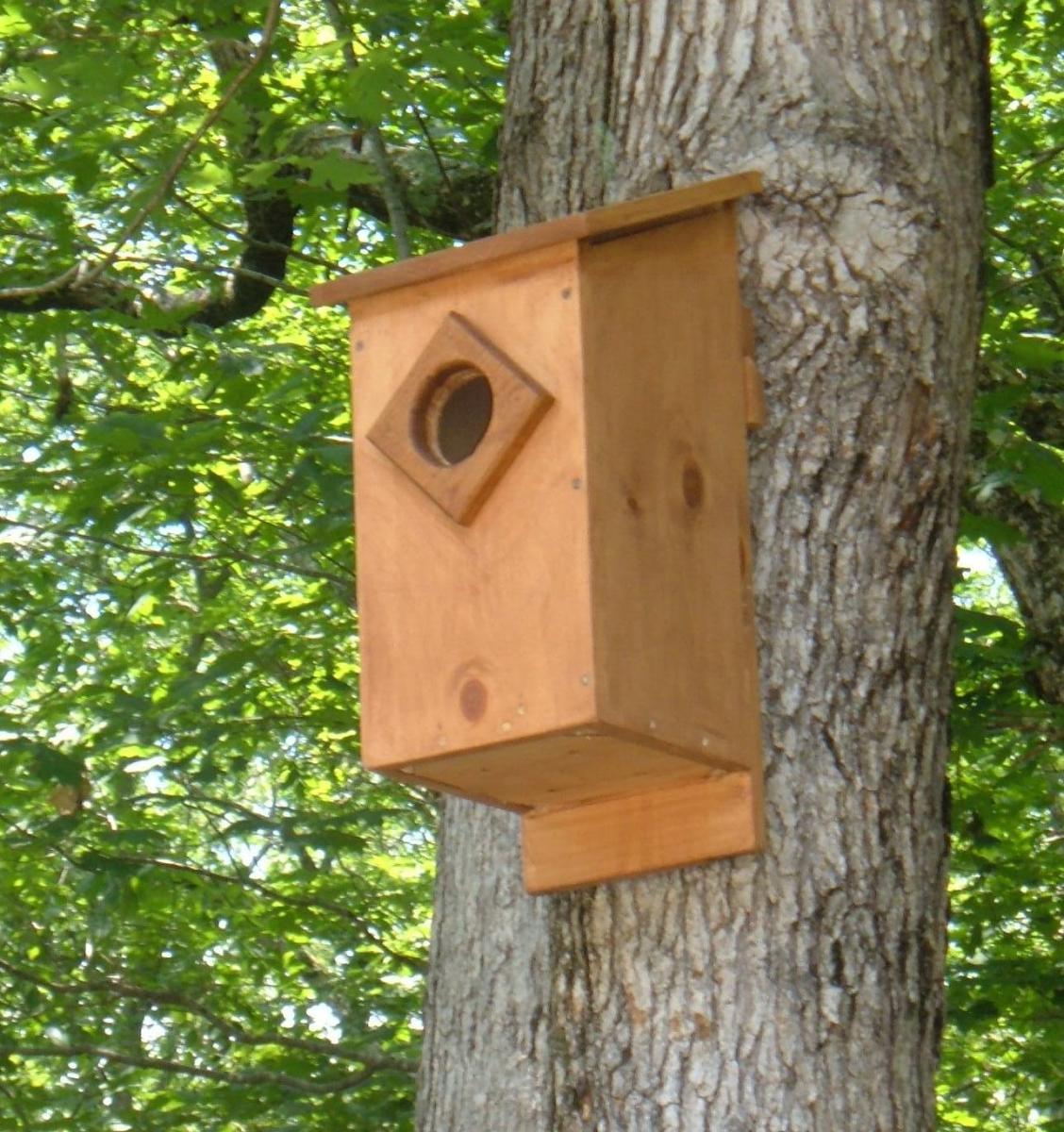 Printable Screech Owl Box Plans