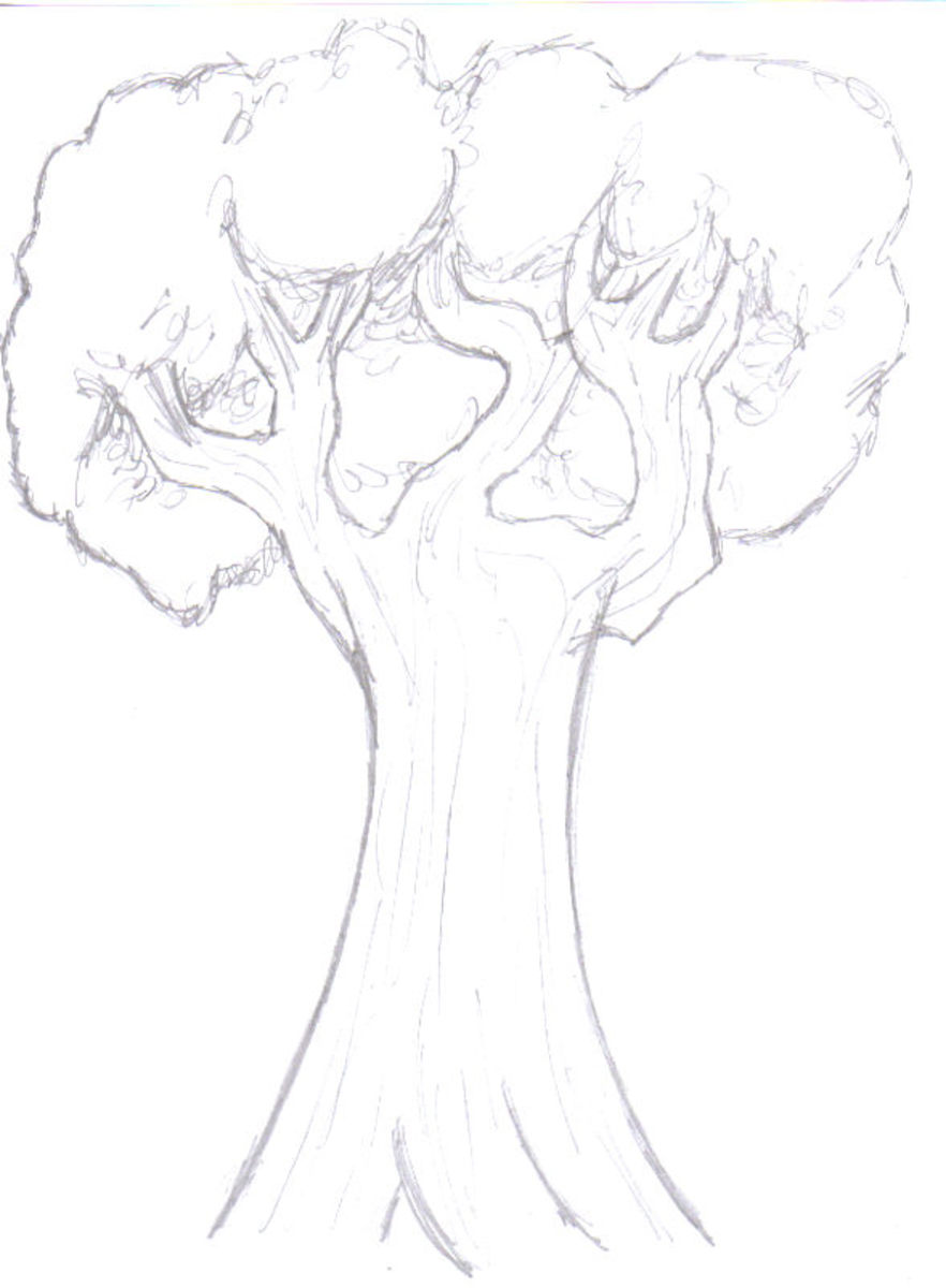 Share more than 80 sketch for tree - in.eteachers