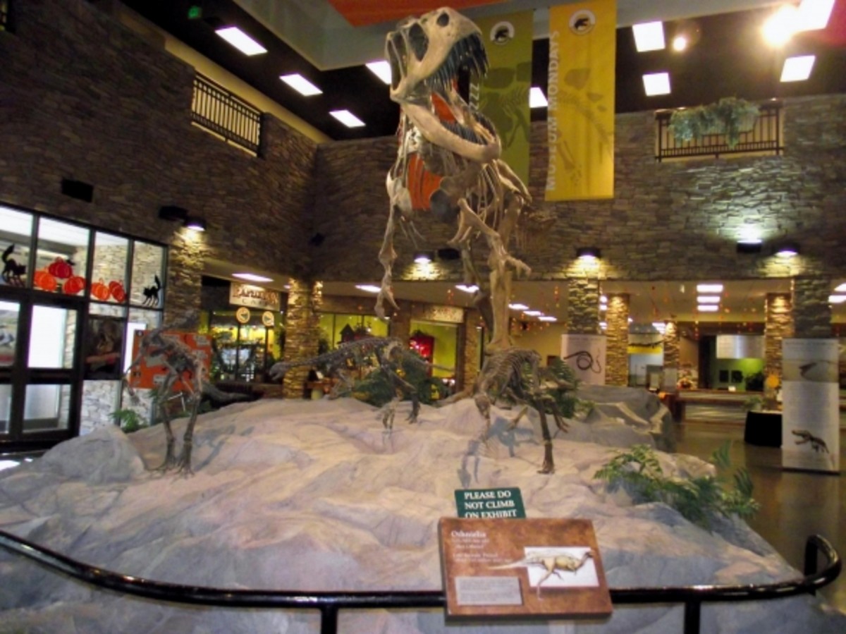 The Museum of Ancient Life: Dinosaurs for Children