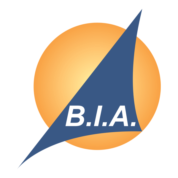 BIA Brussels international Airlines Logo PNG Vector