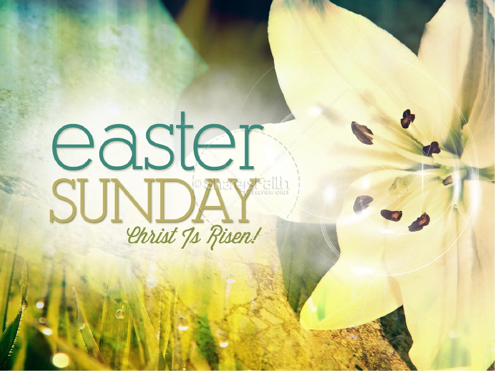 Easter Lily Powerpoint Background