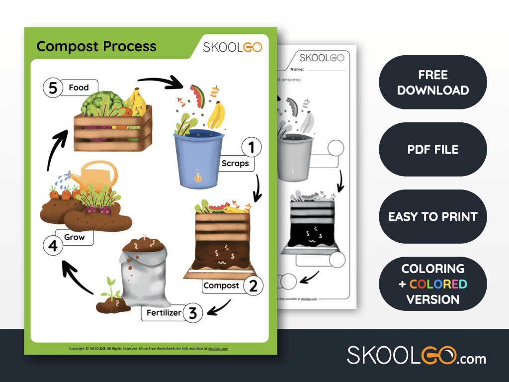 Free Worksheet for Kids - Compost Process - SKOOLGO