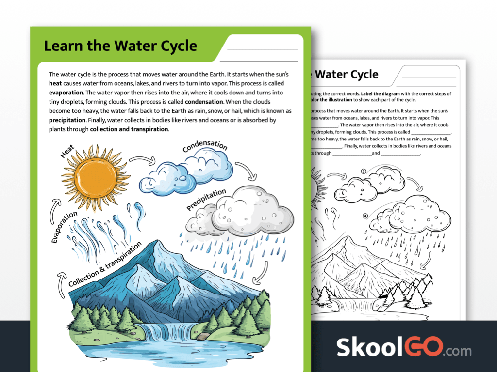 Preview image of the "Learn the Water Cycle" worksheet for Grades 2–4, showing both color and black & white printable pages.