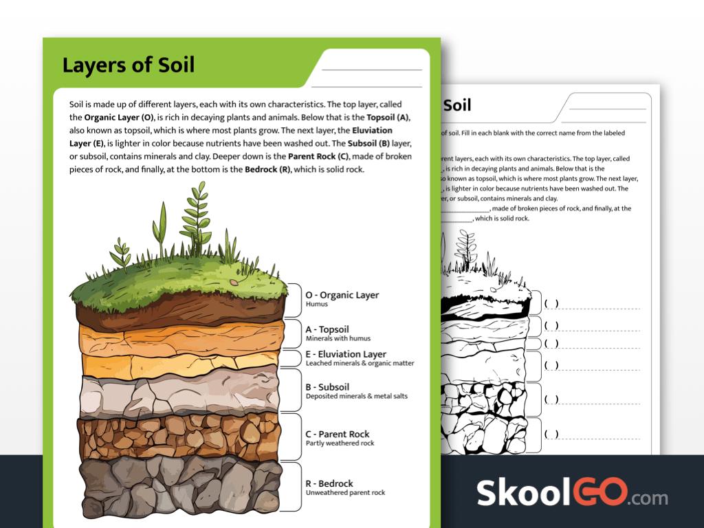 A preview of the Layers of Soil worksheet for Grades 2–4, featuring color, black-and-white, and fill-in-the-blank pages.