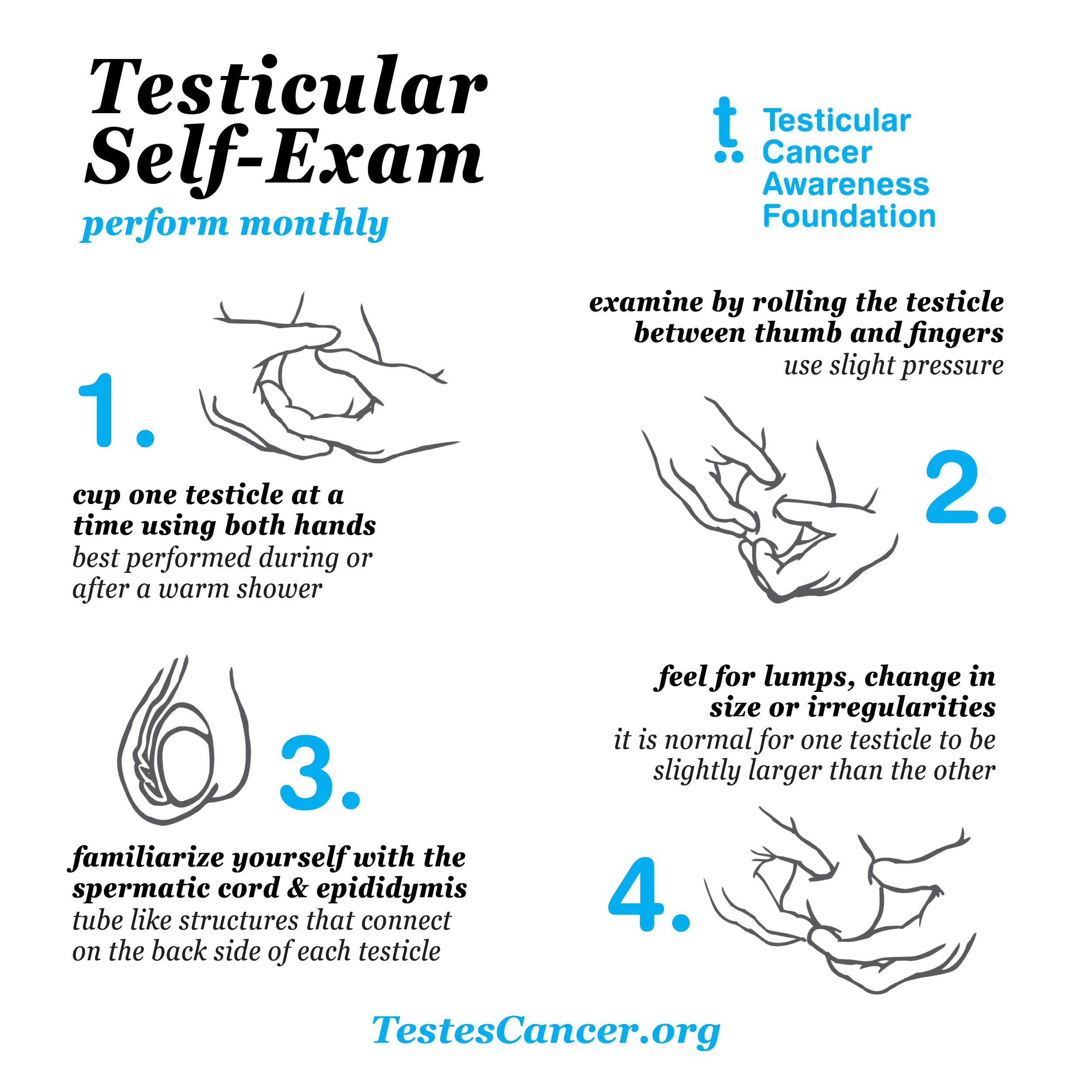 Testicular Self-Exams — Testicular Cancer Awareness Foundation