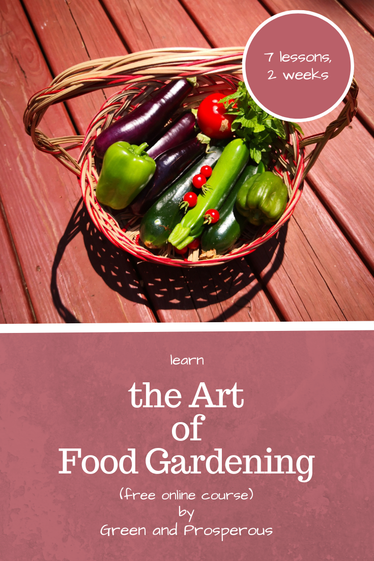 Art of Food Gardening — Green and Prosperous