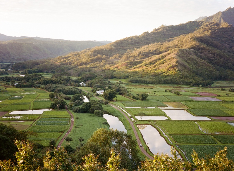 kauai-film-photographer-034.jpg