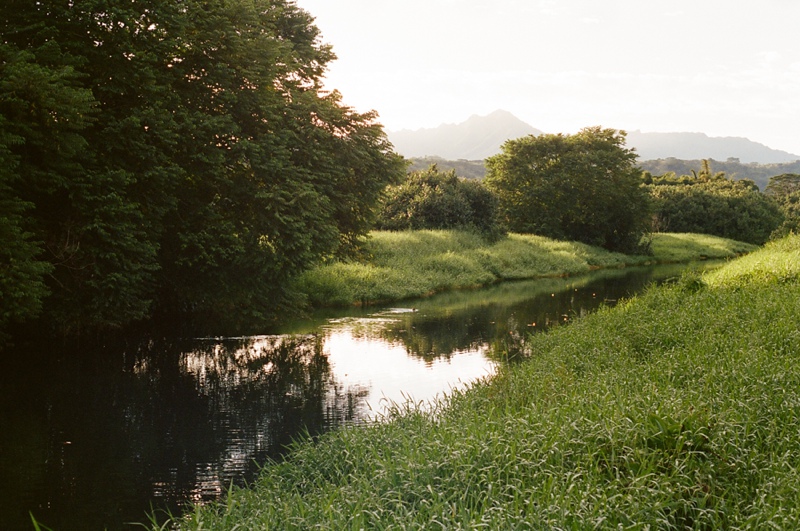 kauai-film-photographer-037.jpg