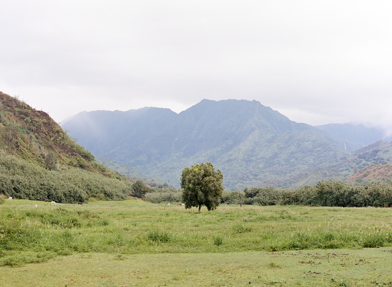 kauai-film-photographer-046.jpg