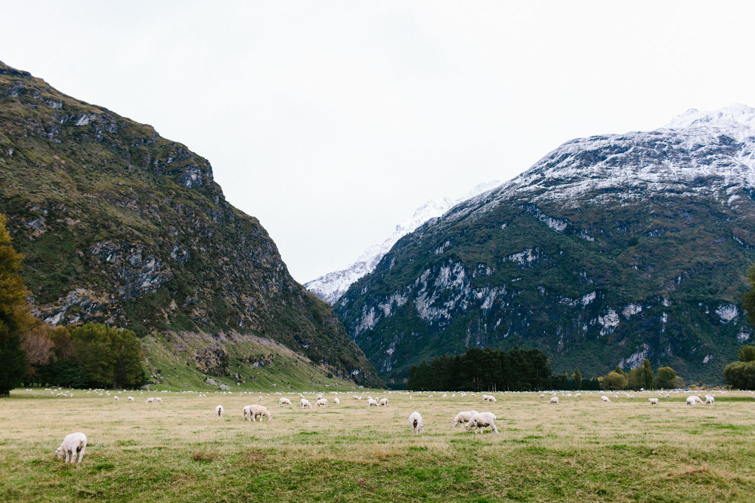 new-zealand-campervan-roadtrip-077.jpg