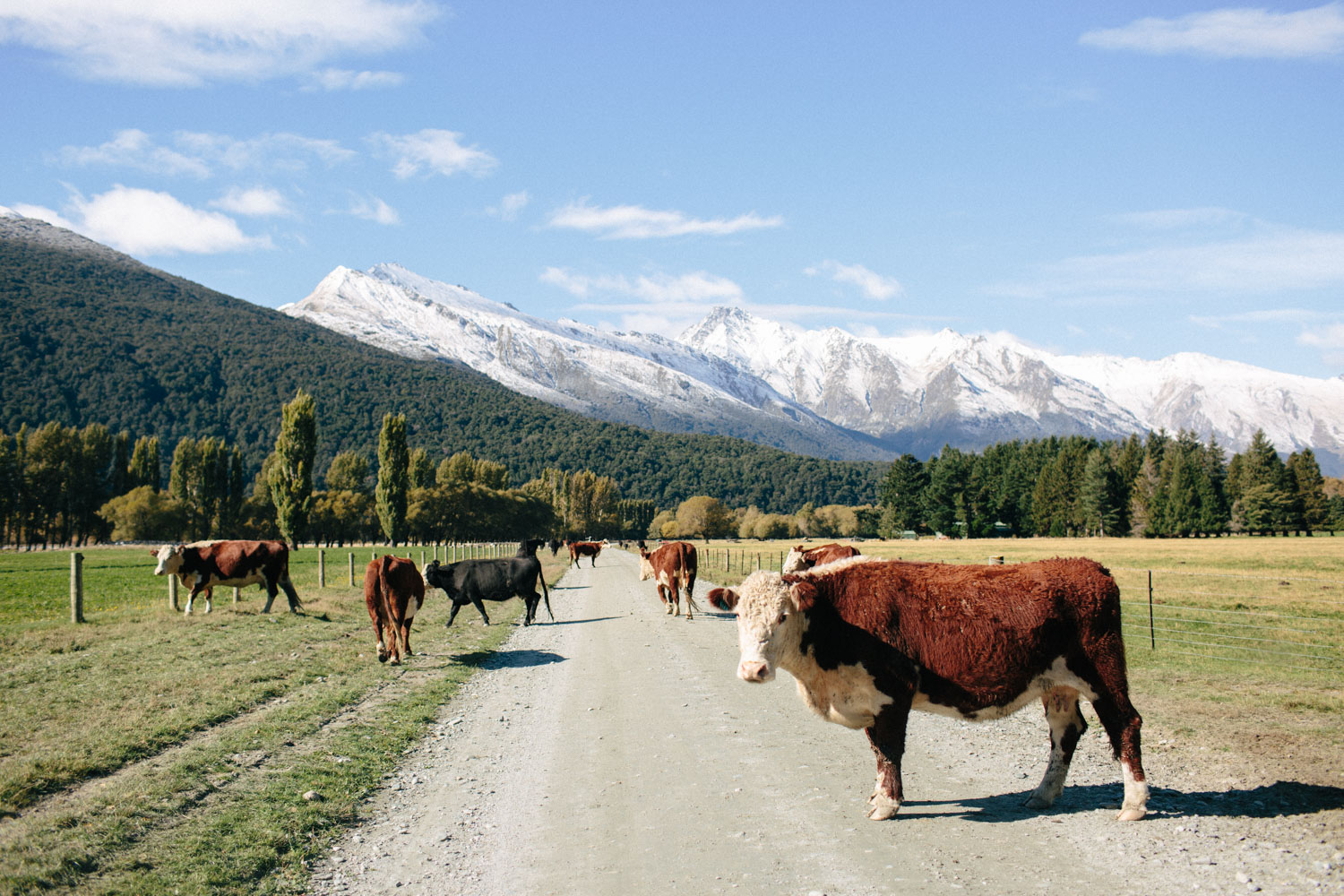 new-zealand-campervan-roadtrip-083.jpg