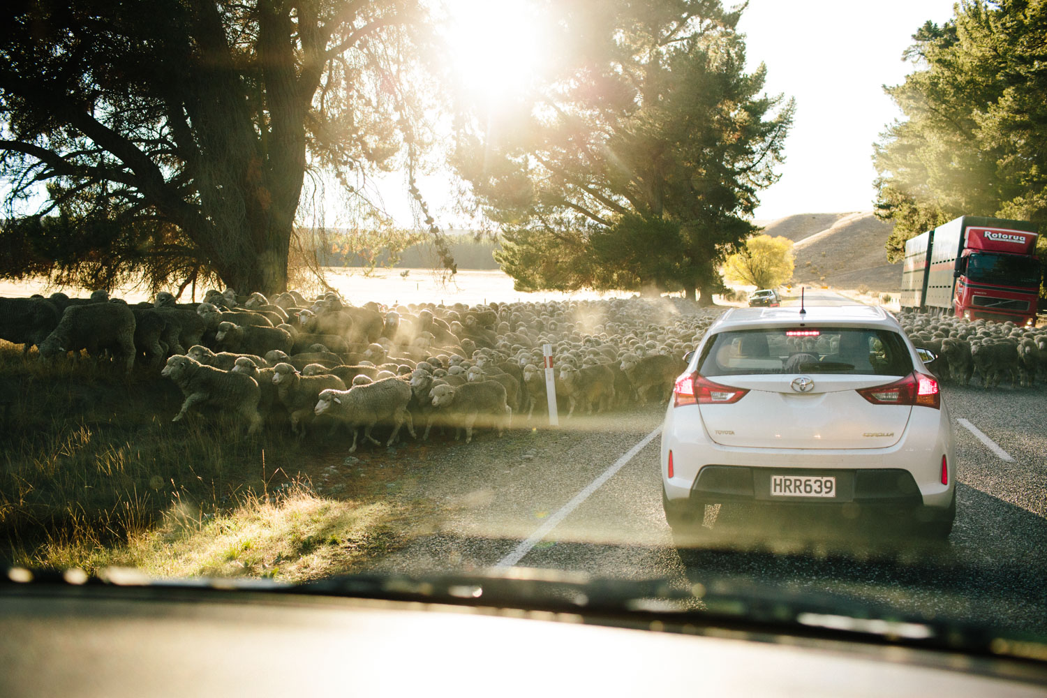 new-zealand-campervan-roadtrip-107.jpg