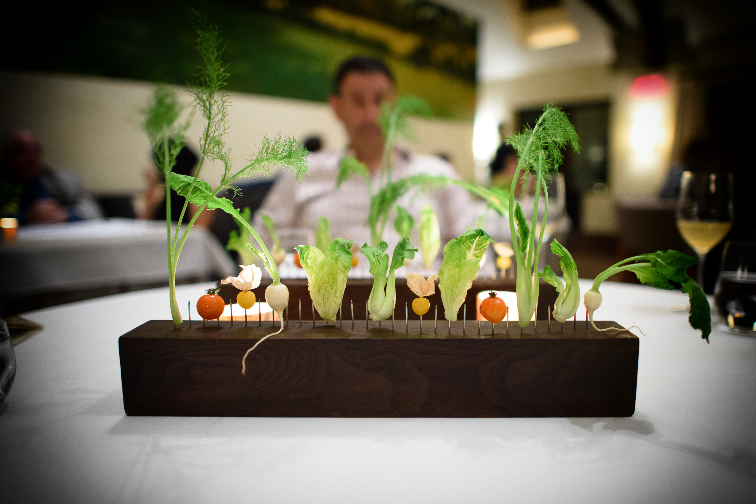 Tomatoes, radish, bok choy, fennel