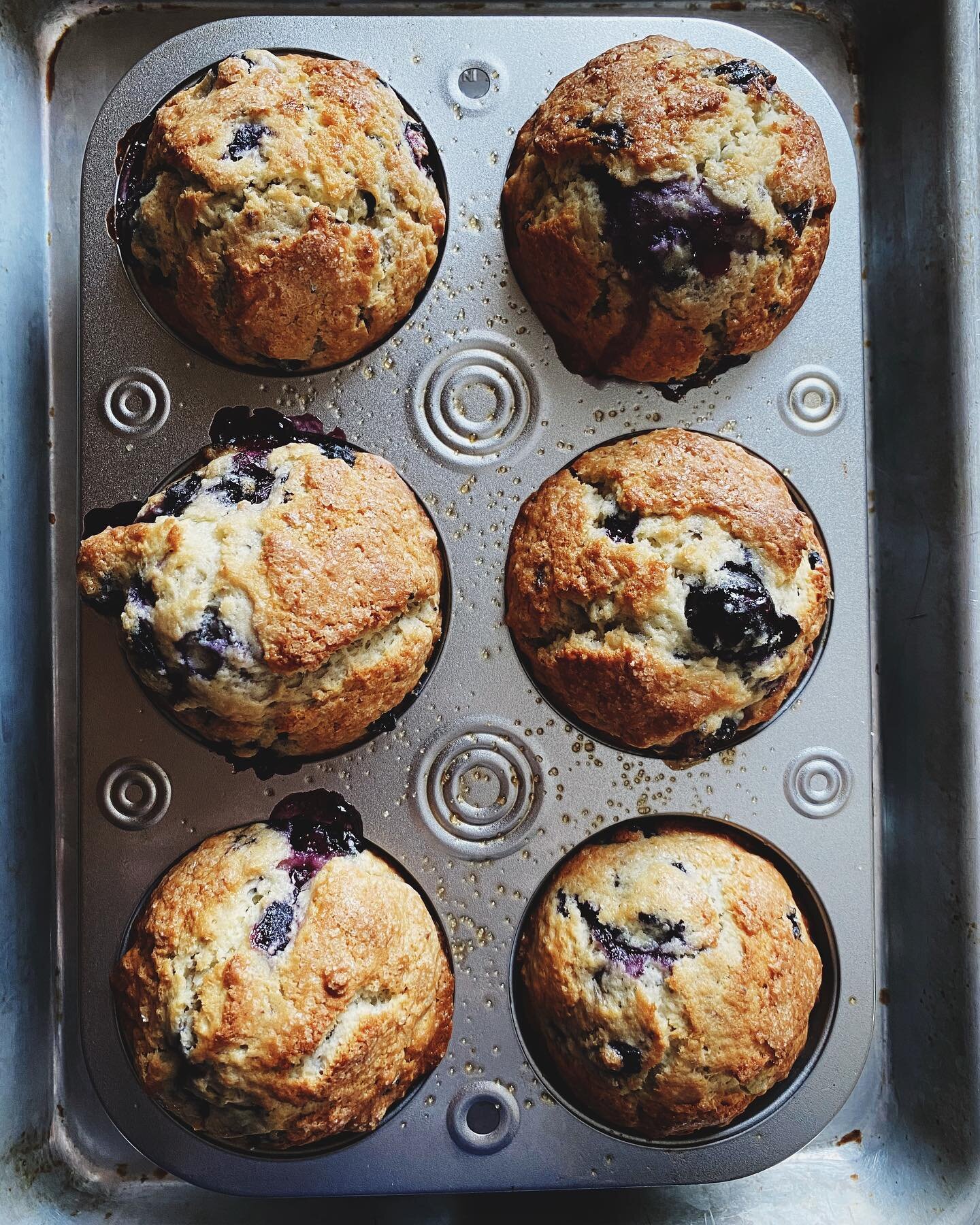 A good day for a muffin, don&rsquo;t you think? These are @hummingbirdhigh&rsquo;s small batch blueberrry muffins (made with buttermilk and divided into 6 muffins instead of 4)✨✨✨ Link to resources to help people in Texas in my story. Take care of ea