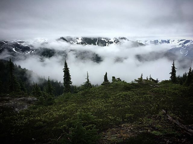 Taking a short pause the next couple of days, as I&rsquo;ll be backpacking this weekend in the PNW wilderness. 🌲 Nature is calling. 🏔✨ New orders ship on Monday!