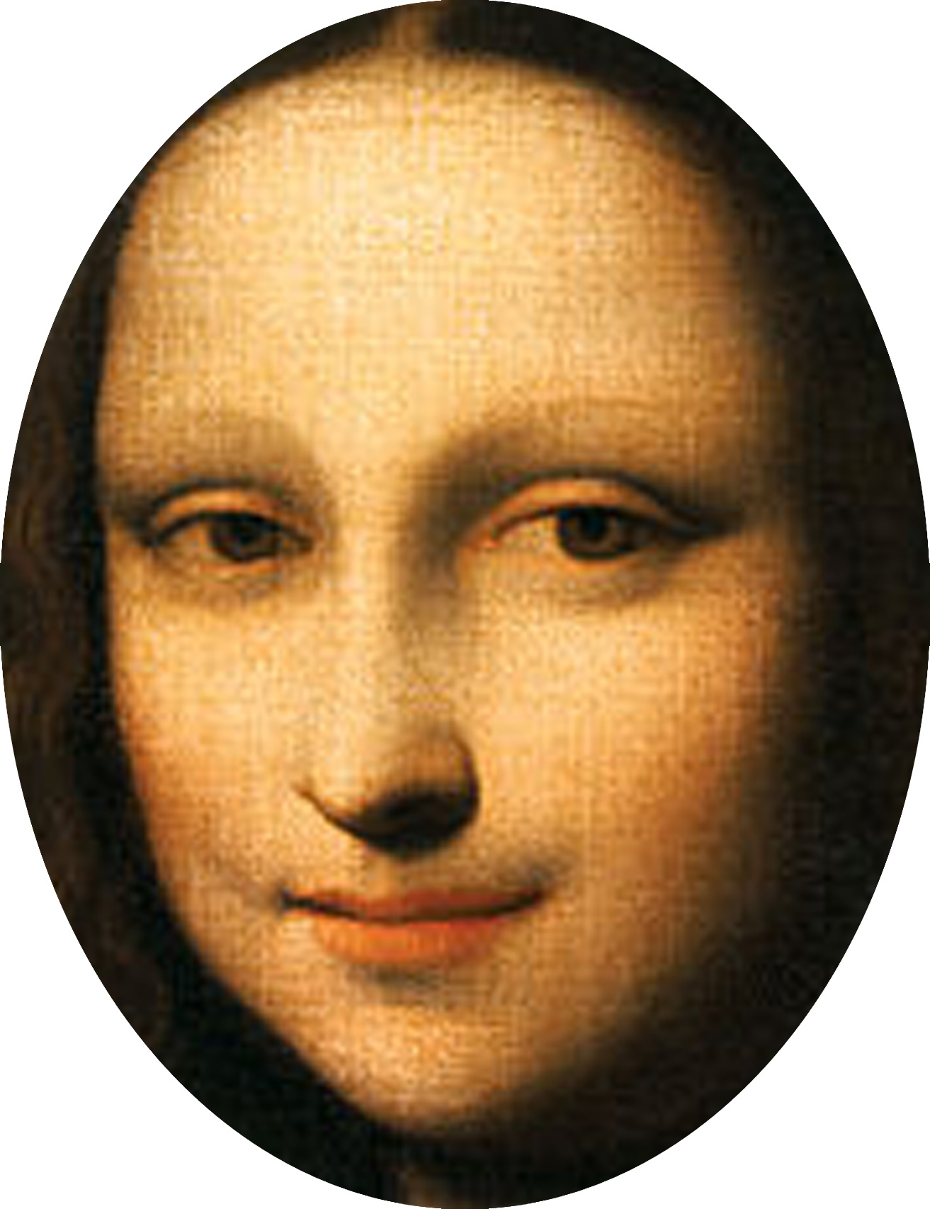 monalisa-isleeorthface.jpg