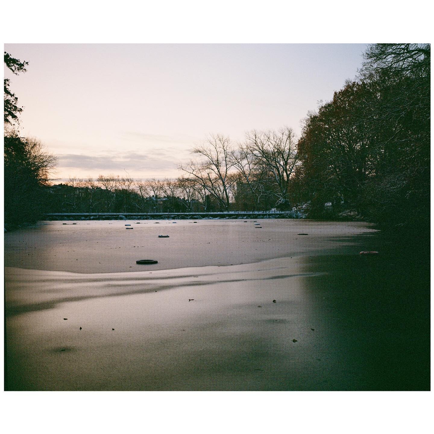 Mixed Pond. Post dip. Hampstead Heath. Jan &lsquo; 23
.
.
.
.
.
.
.
.
.
.
#hampsteadponds #hampsteadmixedpond #outdoorswimmingsociety #winterswimming #swimwildandfreezing #mamiya7ruinedeverything @flakphoto #millennium_images #filmohotography #landsc