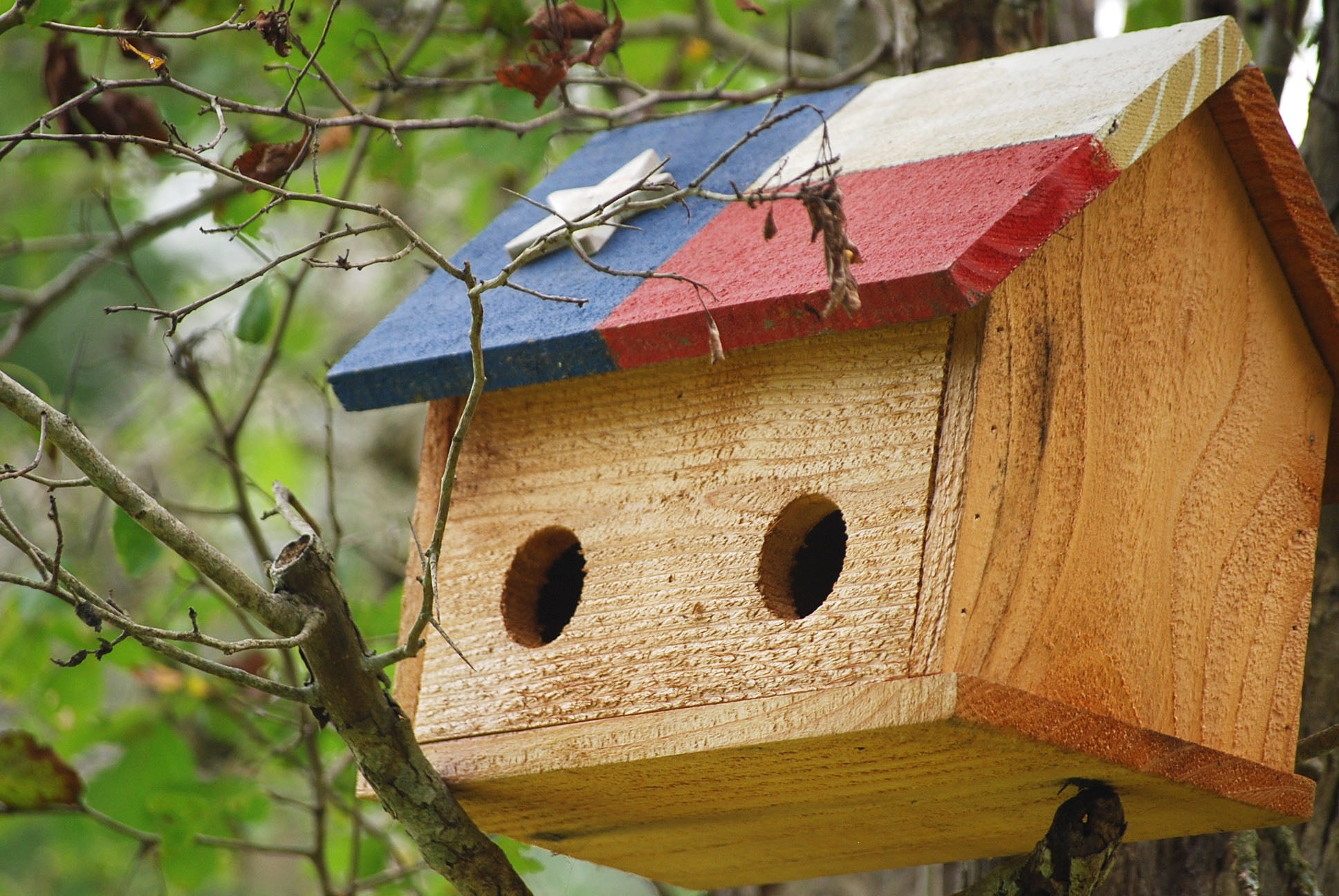 birdhouse.jpg