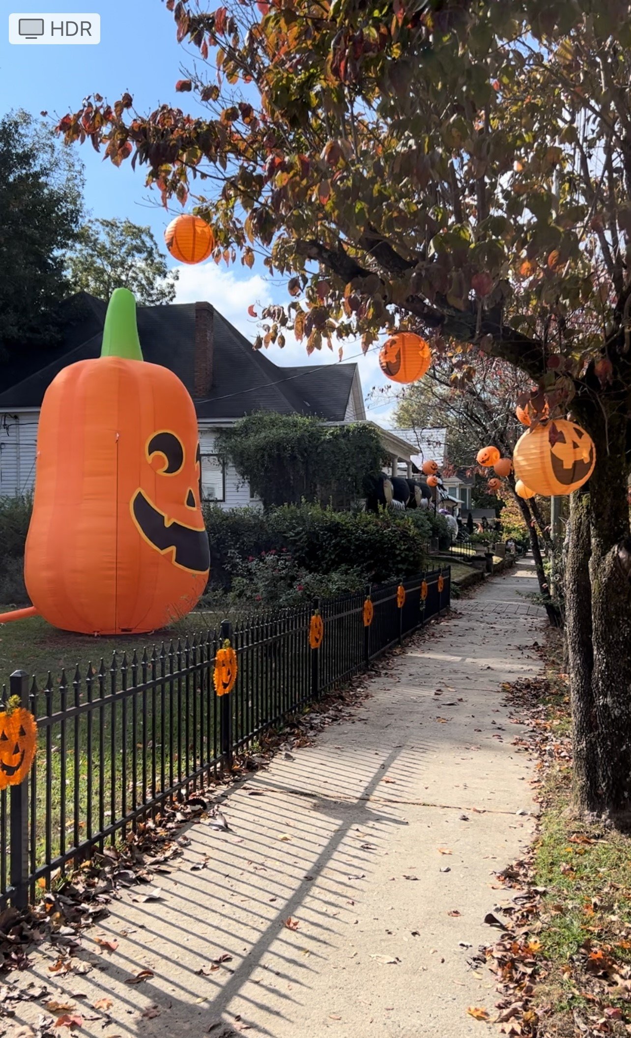 Halloween Decor 2024 — iron & twine