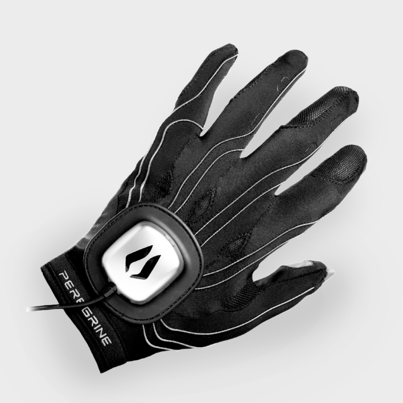 Peregrine Gaming Glove