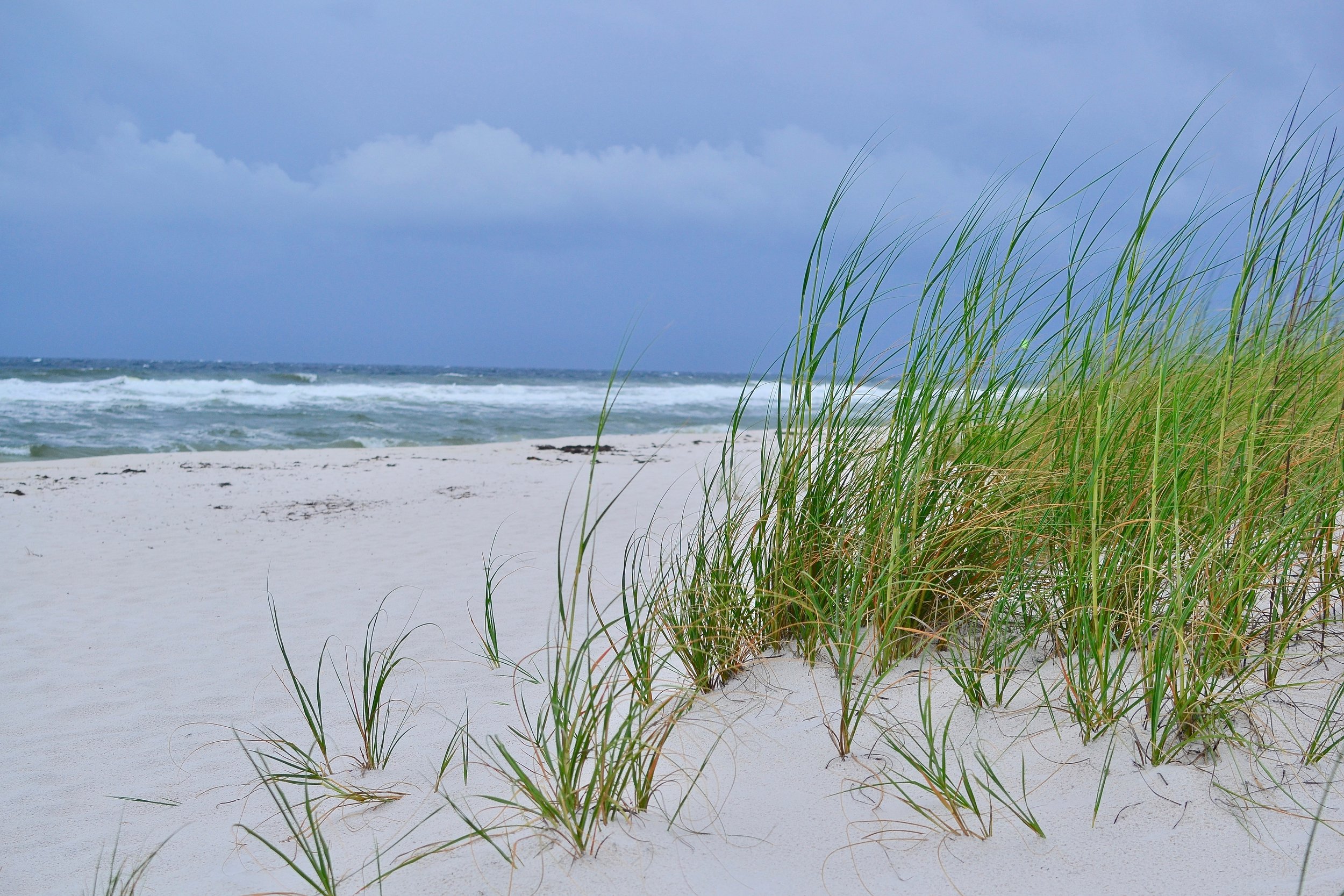 Gulf Islands National Seashore.jpeg