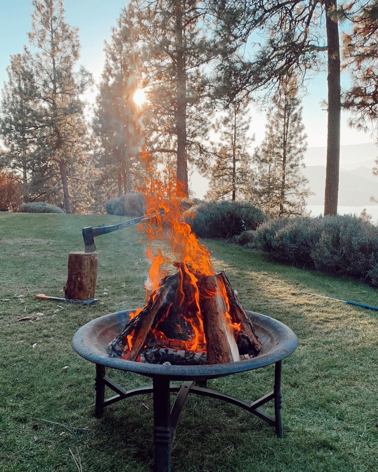 the little things that make home, home - fire, tall trees, axes, lake views and fresh air.

9 days into self-isolation, 4 days till my &lsquo;freedom&rsquo;. Still haven&rsquo;t hugged my mom. 

I thought to myself today how words like quarantine &am