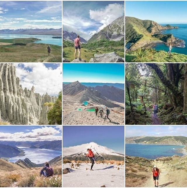 Our feed over the last couple of weeks...
If you live in NZ go and make the most of it. We are so unbelievably lucky to be safe, out of lockdown and surrounded by some of the most stunning views in the world. 
More hikes (and views) coming tomorrow o