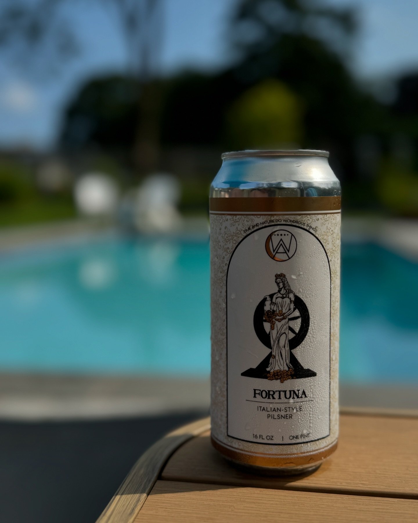 A Proper Pool Pilsner @wildairbeer 📷 by @sicknislak 🇮🇹