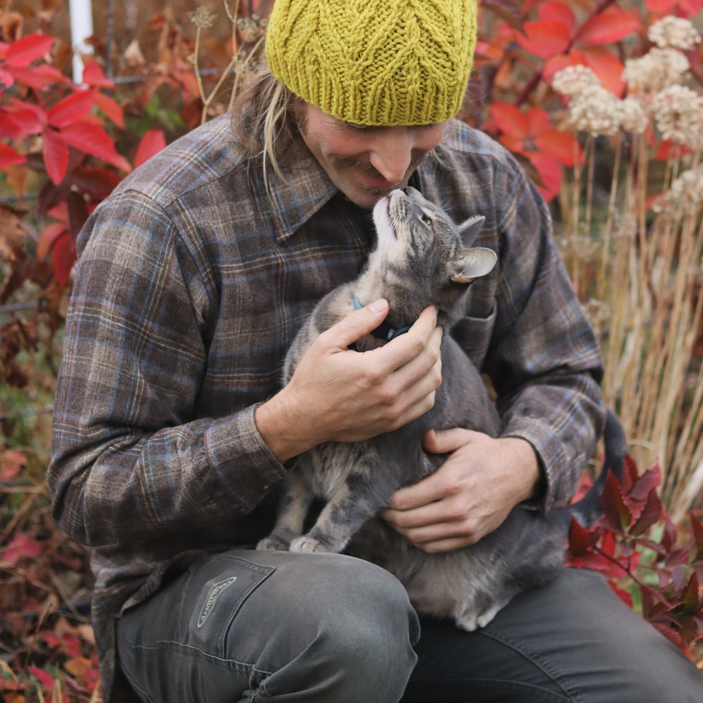 A 💛 weld 💛 on wool photoshoot that became all about Bubo 🐈&zwj;⬛. 

#weld #dyersrocket #resedaluteola #naturaldye #dyeplants #gardening #menwhoknit #brooklyntweed #lancethat