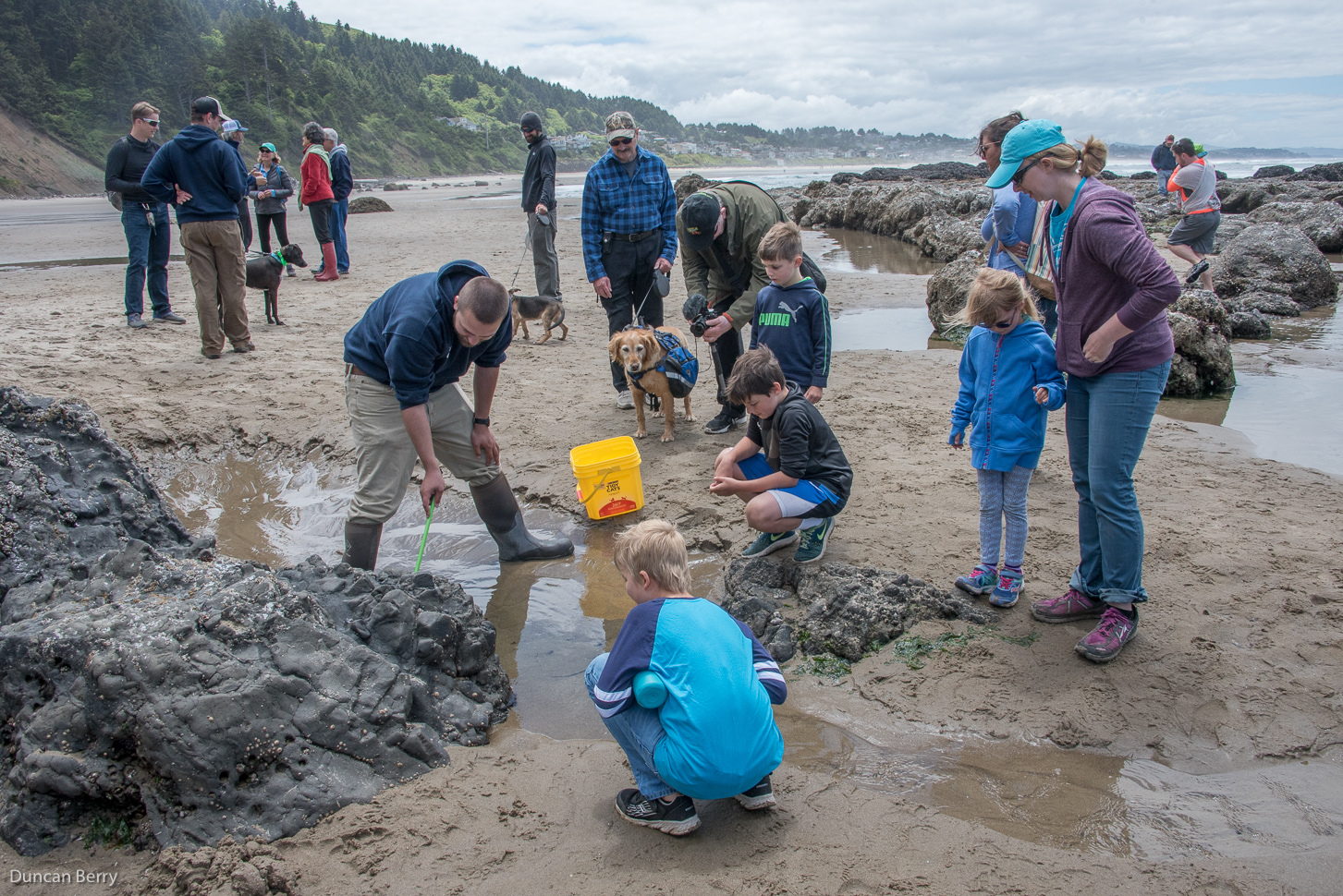   The vibrant human communities of Otis and Lincoln City, Oregon  