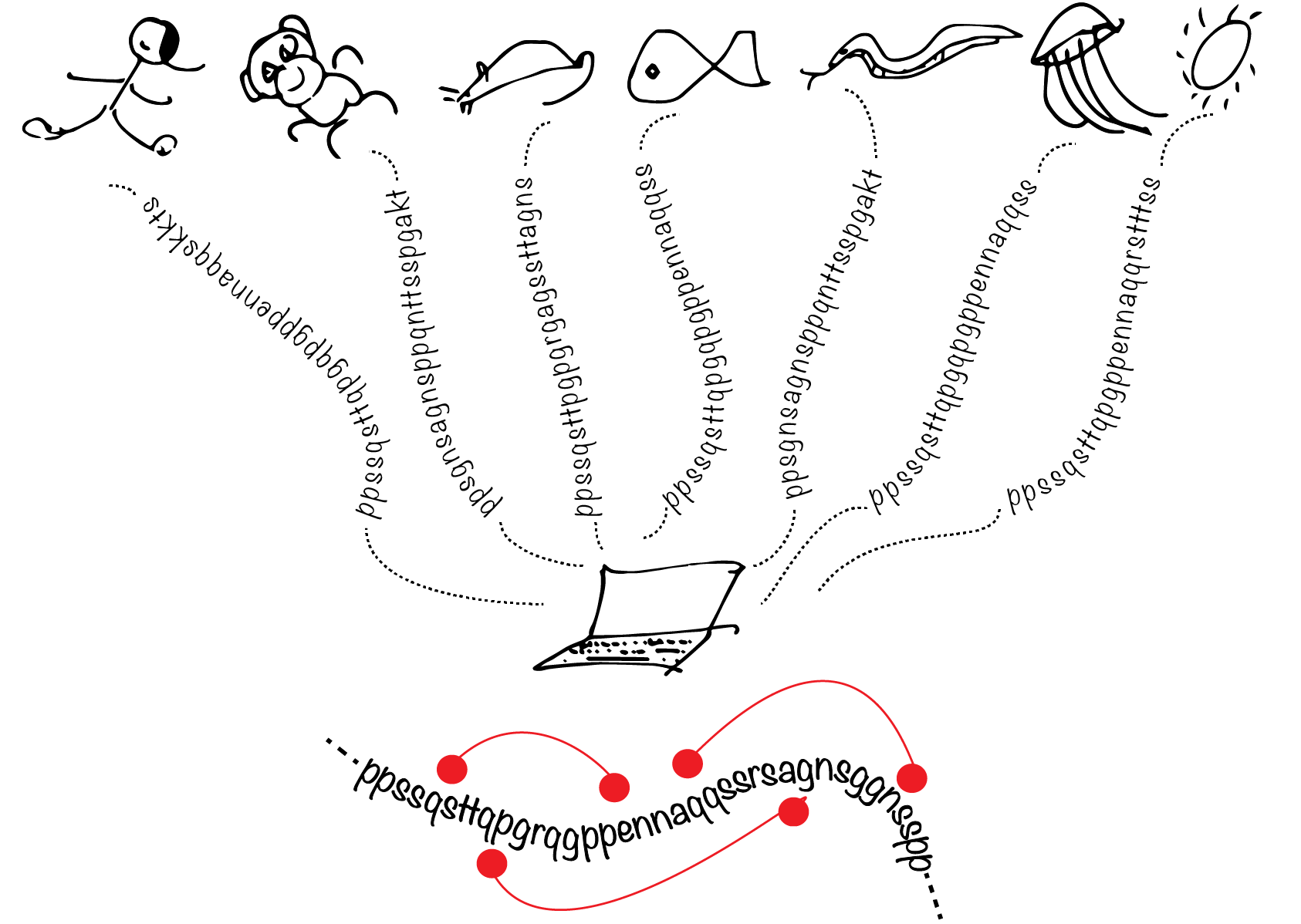 Structured States of Disordered Proteins from Genomic Sequences