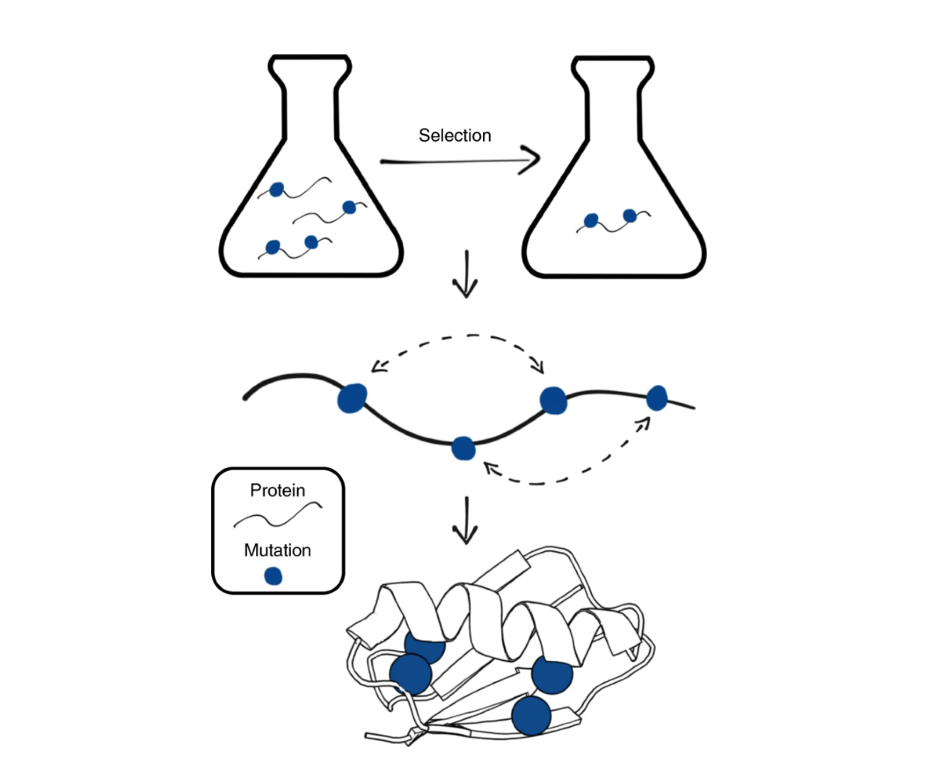 Inferring protein 3D structure from deep mutation scans