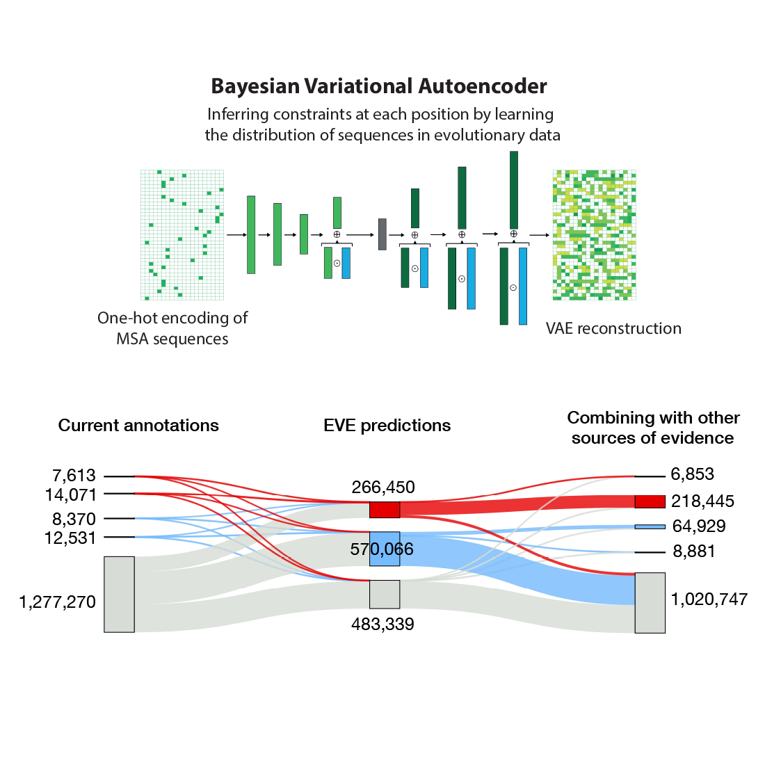 Disease variant prediction with deep generative models of evolutionary data