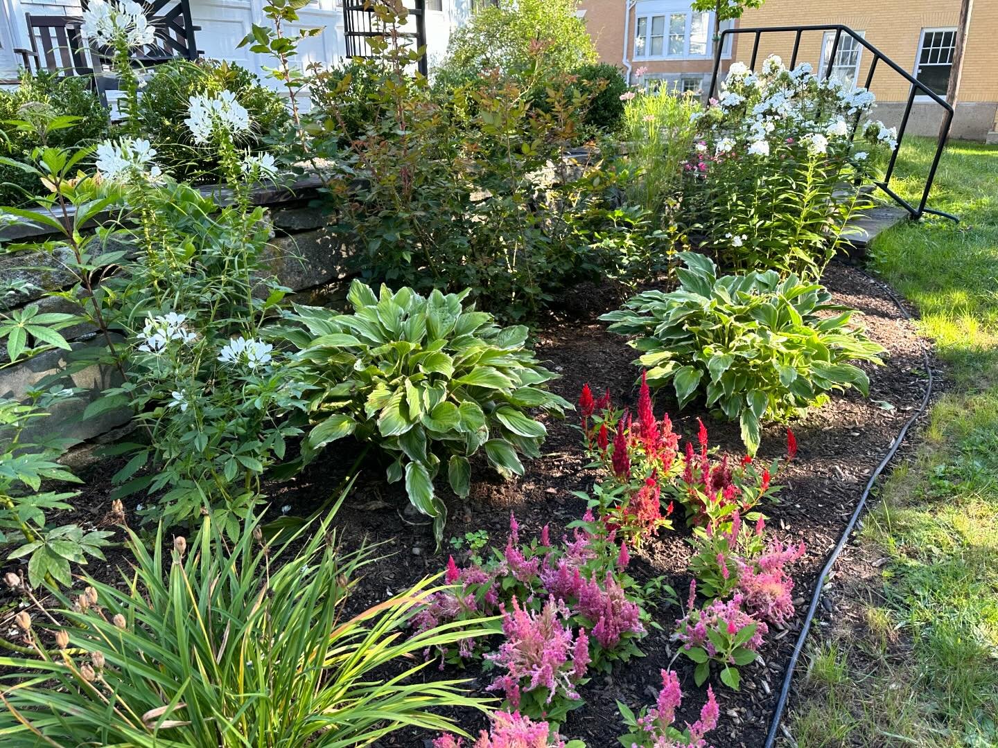 Some beautiful flowers in bloom at the PWCC 🌸🪻🌷🌺🌼 #portsmouthnh #gfwc #gfwcnh