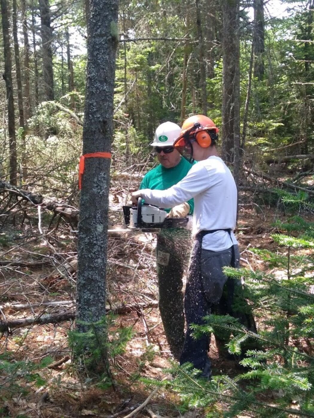 16 - KW ChainsawTraining2-min.jpg