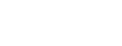 fiat.png