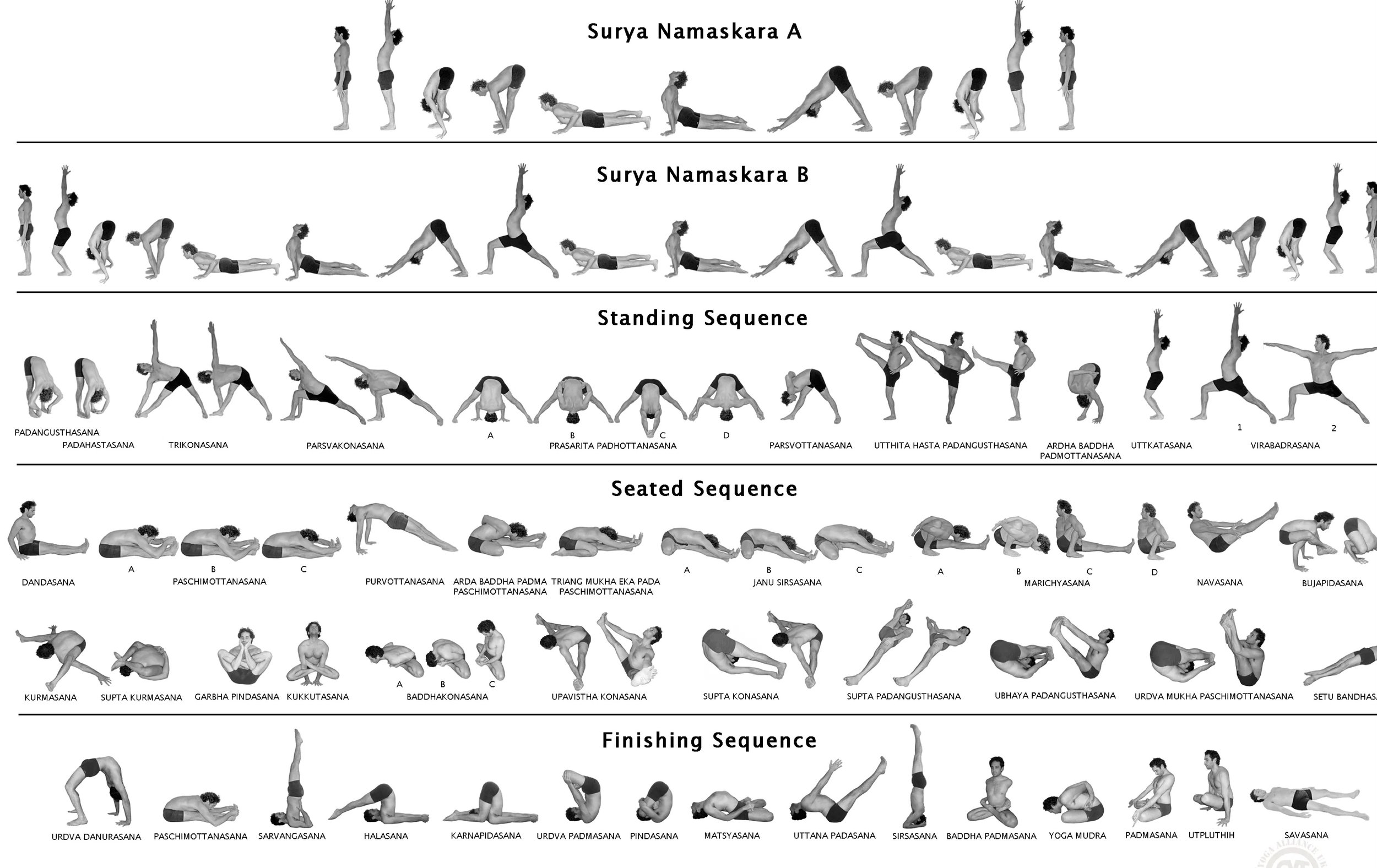 Ashtanga Yoga Sequences