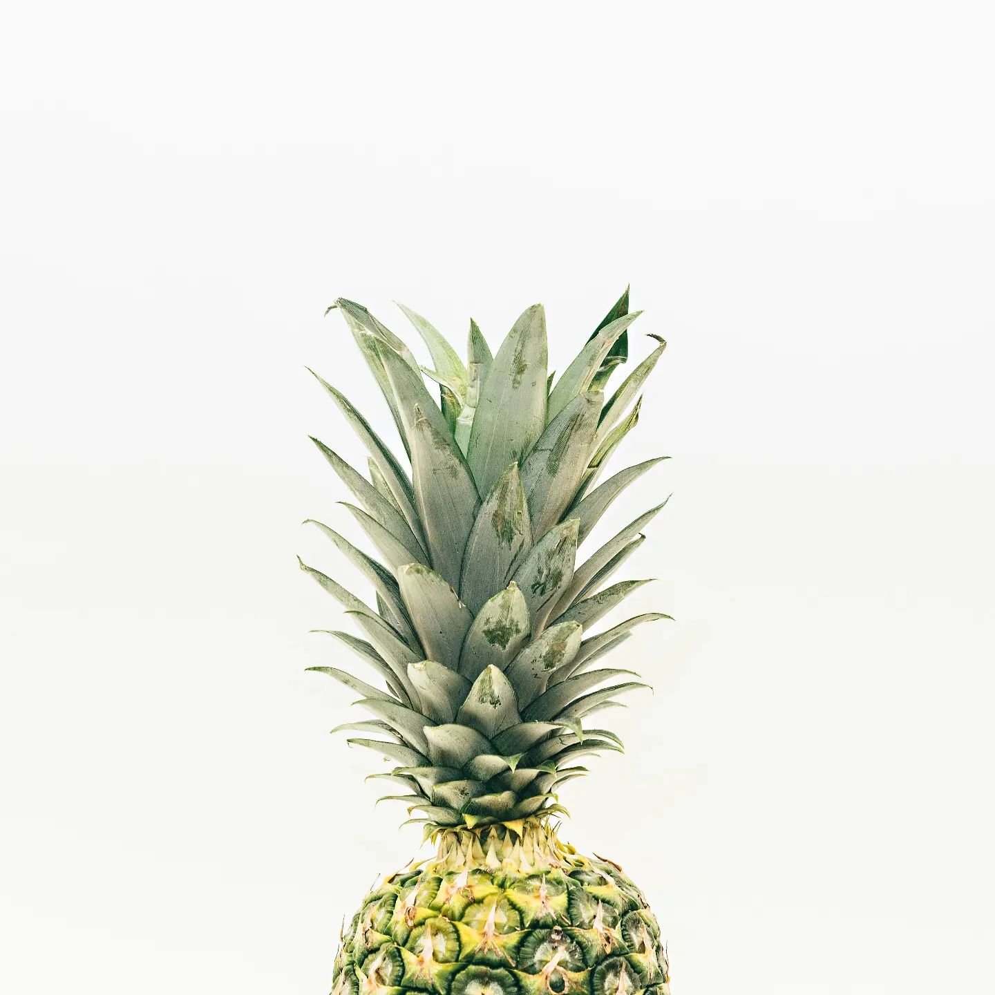 The unmistakable pineapple. Our CEO and Creative Director are currently in the USA so today we share a national day in the USA...PINEAPPLE DAY 🍍
.
Sweet, fresh, tropical and green ....the tasting notes for our Floridian Pineapple kiiNote&reg; 100% p